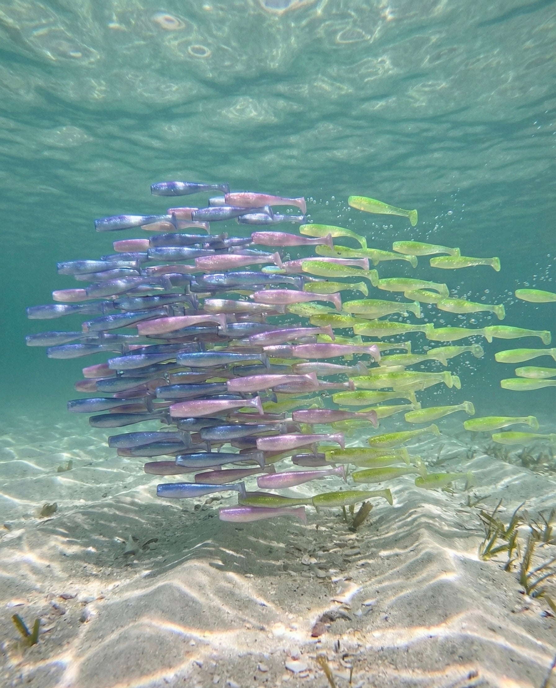 Sexy Lure 3.75” Swimbait – Pure Inshore Candy (Qty 5)