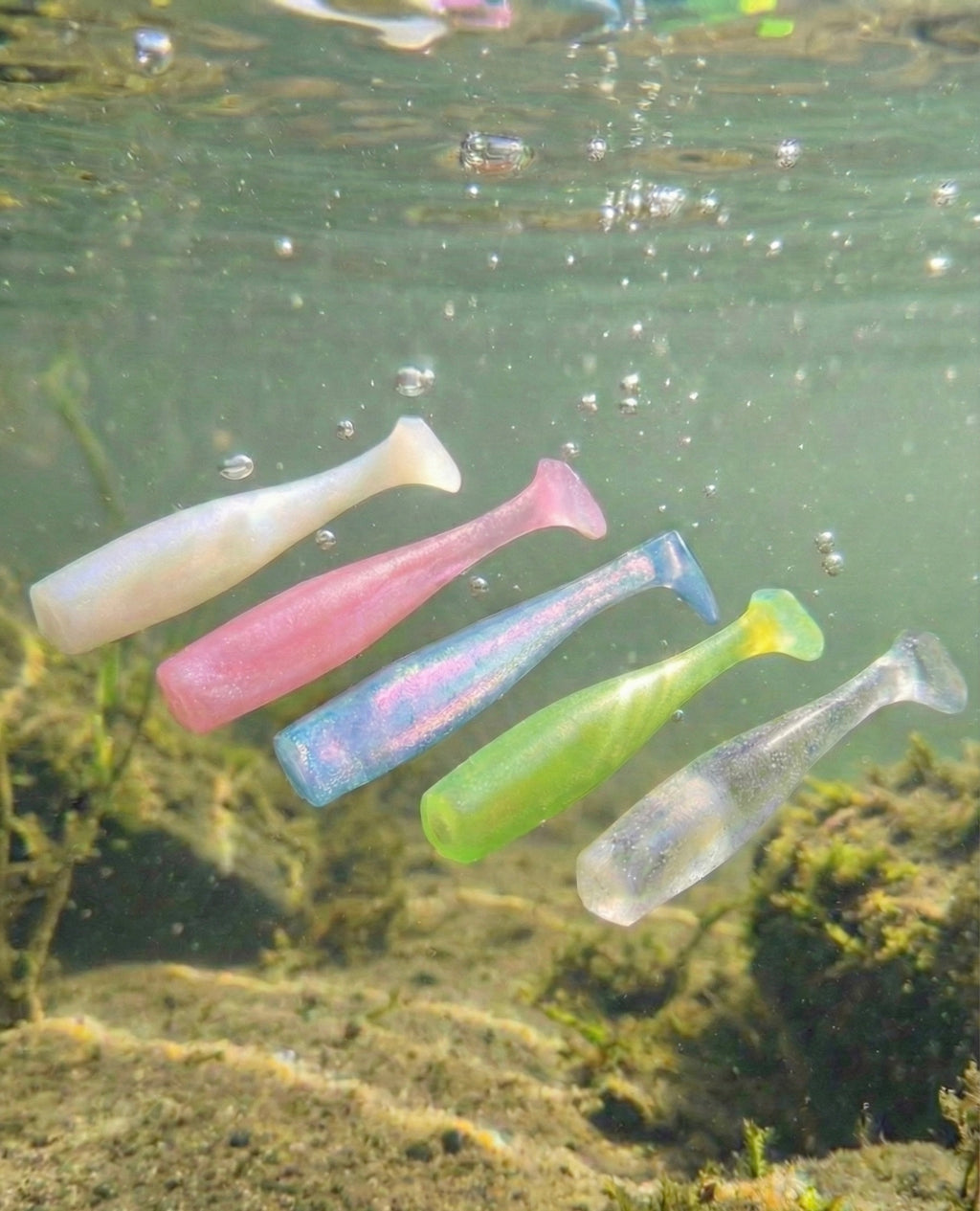 Sexy Lure 3.75” Swimbait – Pure Inshore Candy (Qty 5)